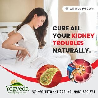 5 Natural Ayurvedic Remedies for Kidney Stones from Yogveda’s Experts