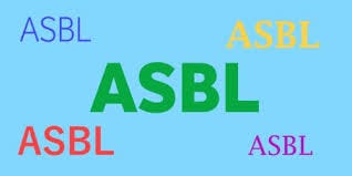 Droit comparé des ASBL belges et luxembourgeoises (Maître Guillaume Tefengang)