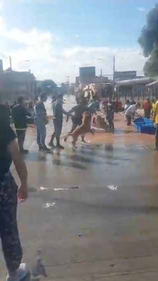 O Testemunho de Solidariedade e Heroísmo de Nossa Tripulante Michelle Duso