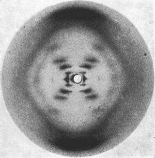 Photograph 51