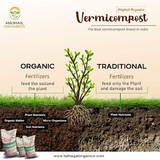 Best 2024 organic fertilizer