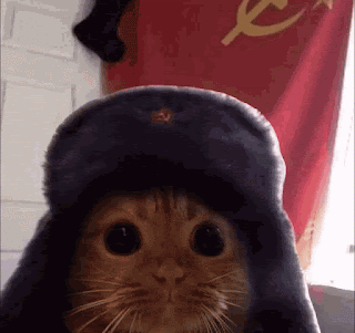 As contradições da esquerda radical