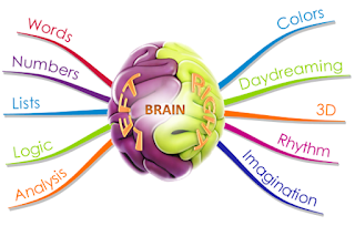 Techniques For Midbrain Activation | by Vedakothawade | Medium