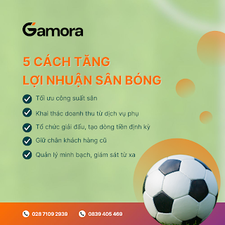 Đầu tư sân bóng mini là một hướng kinh doanh phổ biến tại Việt Nam trong những năm gần đây.
