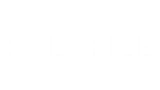 Polarize Ltd
