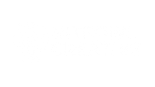 Niteowl Creative