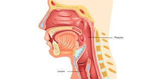 What Is the Difference Between Laryngitis and Pharyngitis?