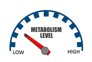 Is your slow metabolism secretly sabotaging your weight loss goals