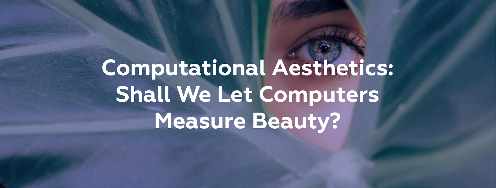 Computational Aesthetics: shall We Let Computers Measure Beauty 