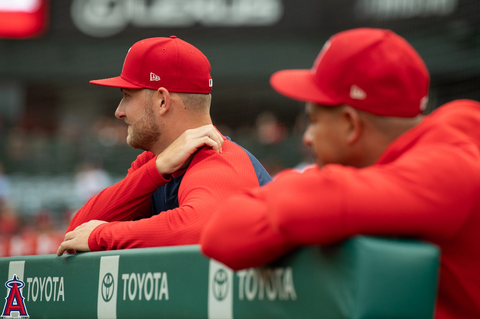 Game Gallery: Rays @ Angels Game 2, 8/19/2023 - The Halo Way