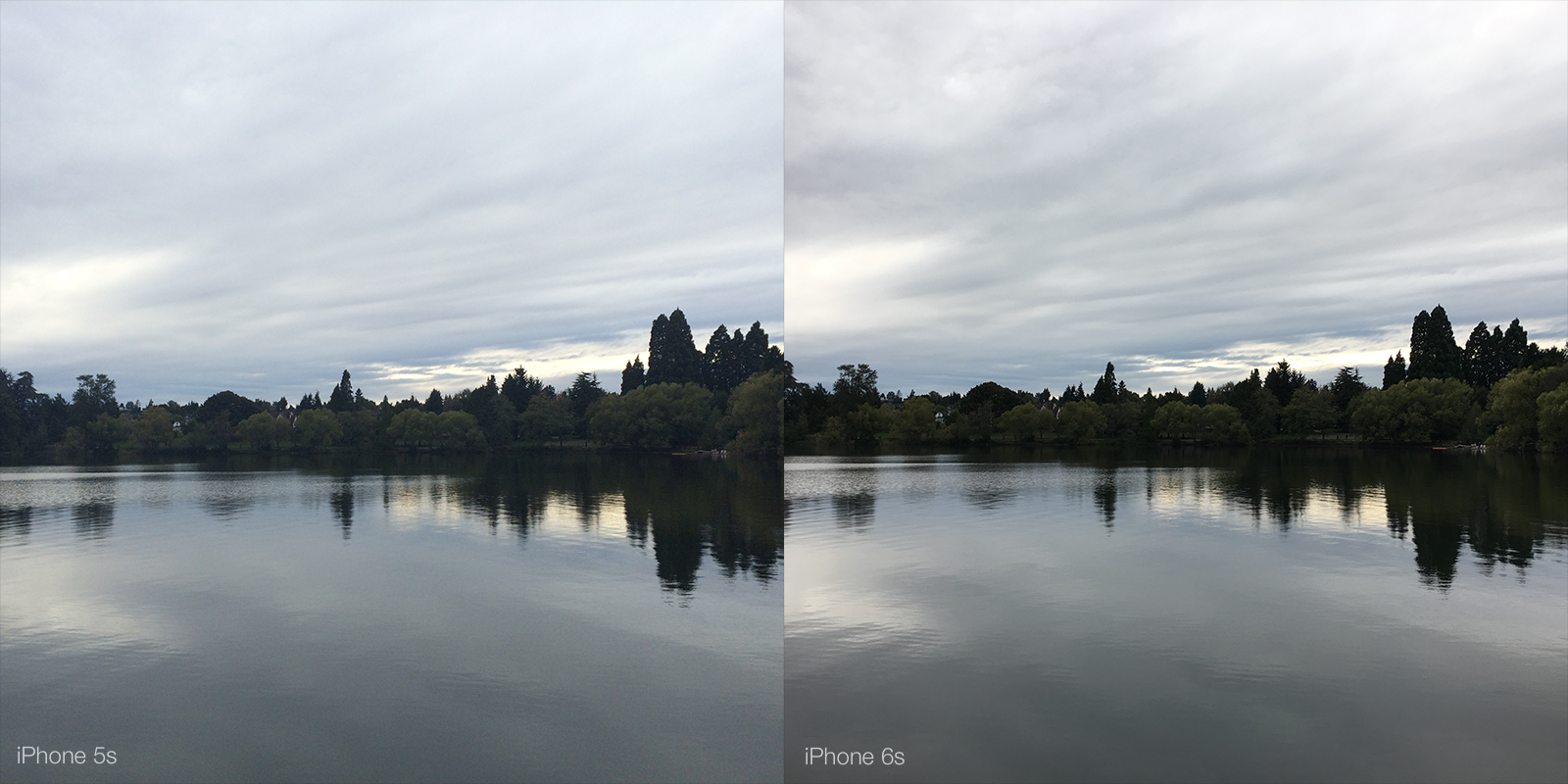 Photo Showdown: iPhone 5s vs iPhone 6s | by Ronan Rooney | Medium