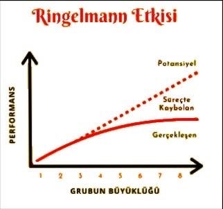 Ringelmann Etkisi. Grup Çalışmasında Performans Düşüşünün… | by SPLTN ...