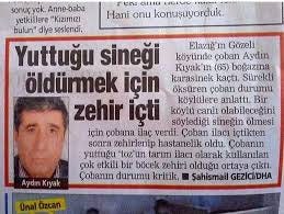 1*97l056DEKdAs0nmWu_nWLw.jpeg