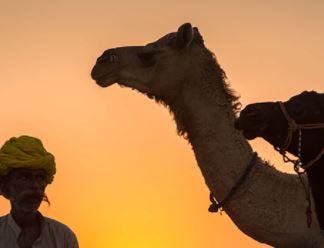 pushkar fair of india rajasthan - Prem - Medium