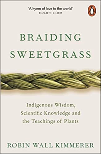 Growing Your Own Sweetgrass Complete Guide 101