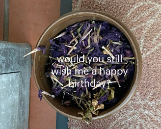 will you think of me on my birthday?