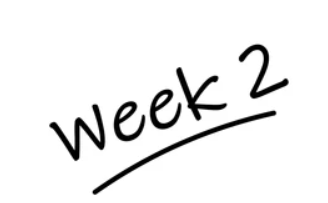 Week 2: Validating, Learning, and Fixing Things Up