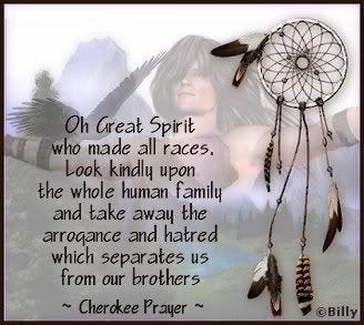 native american dreamcatcher quotes