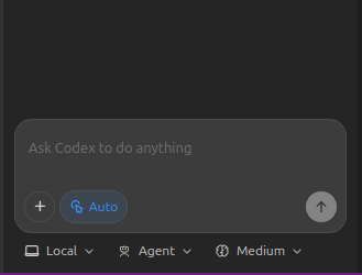 理解 Codex 介面