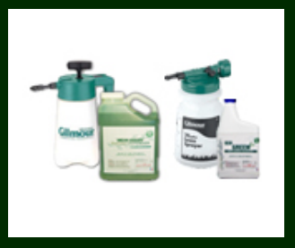 Picture of Safe flea and tick sprays — eco-friendly solutions at affordable prices ...
