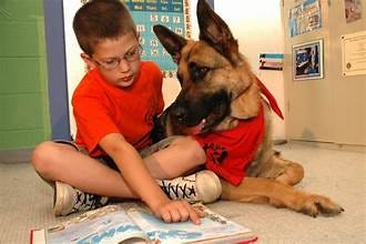 How a Service Dog Can Change a Special Needs Child’s Confidence in Life