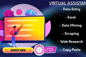 I will be your virtual assistant for data entry, web research, lead generation