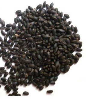 Health Benefits of Basil Seeds Sabja or Tukmaria Seeds by