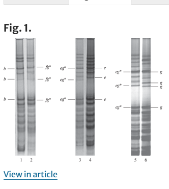 Identification of New Gliadin Alleles of Mutant, Recombinant, and Introgressive Origin in Bread…