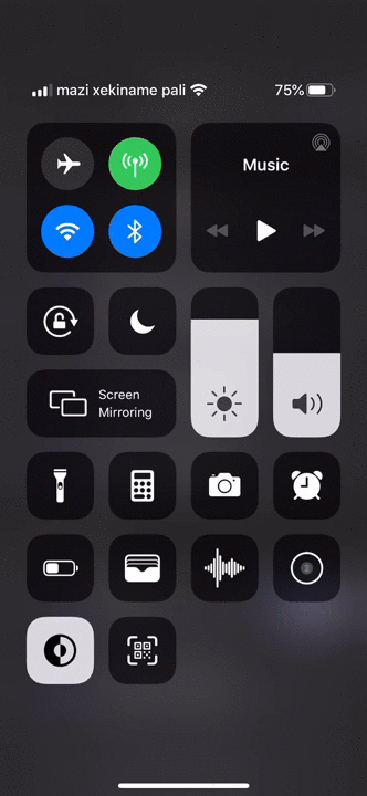 VoiceOver on iOS within an app