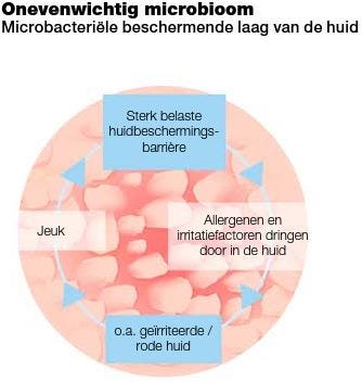 LR Microsilver Plus Zahnpasta Mit Echtem Antiviralem Silber