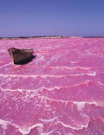 The Pink Lake of Senegal. Lake Retba or Lac Rose lies north of… | by Daily  Afrika | Medium