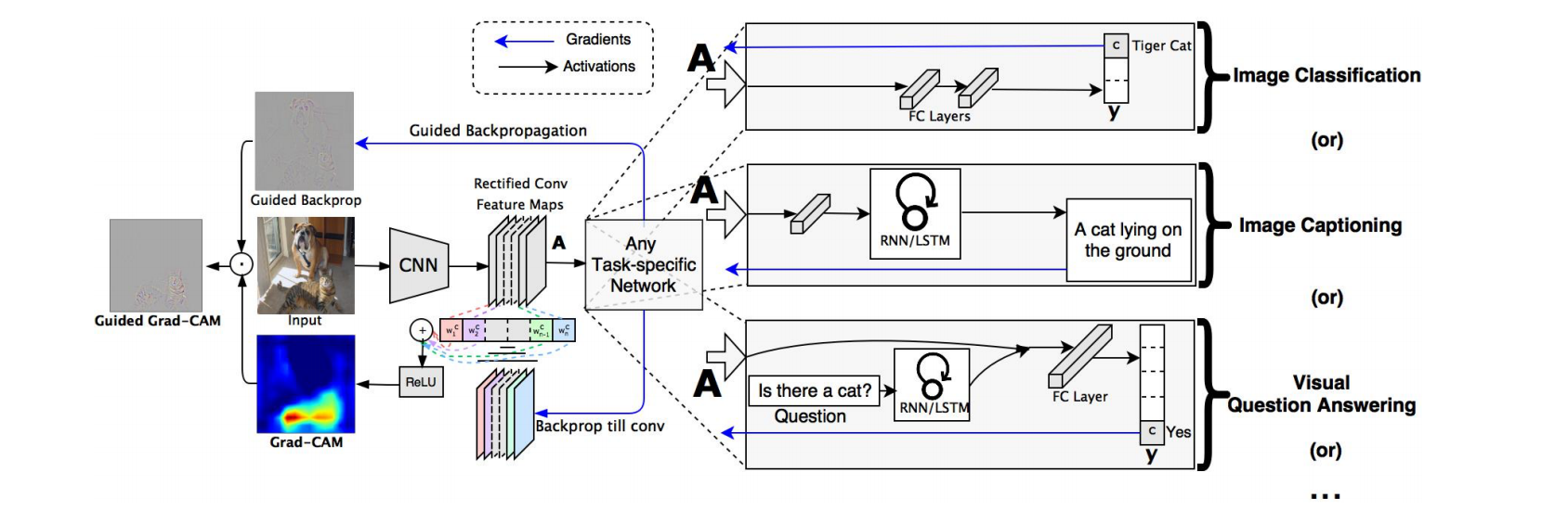 Grad-CAM: A Camera For Your Model's Decision | by Shubham Panchal | Towards  Data Science | Towards Data Science