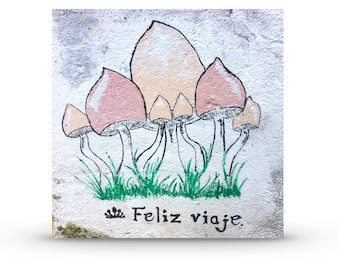 Feliz Viaje-Happy Travels spray painted on the walls
