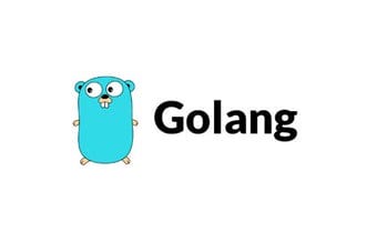 Why Go Will Be the Java of the Next Generation | by Beyond The Compiler ...