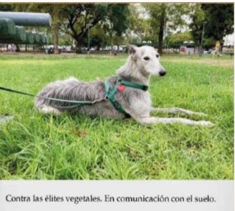 (parte de Libro de Artista — 2023)