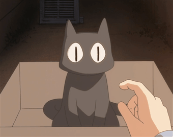 Black Cat