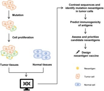 Neoantigen Vaccination