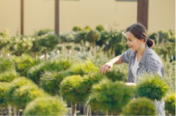 Landscape Services Albany NY: Create an Outdoor Space You’ll Enjoy Year-Round