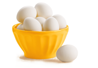 The Negg  Hardboiled Egg Peeler 