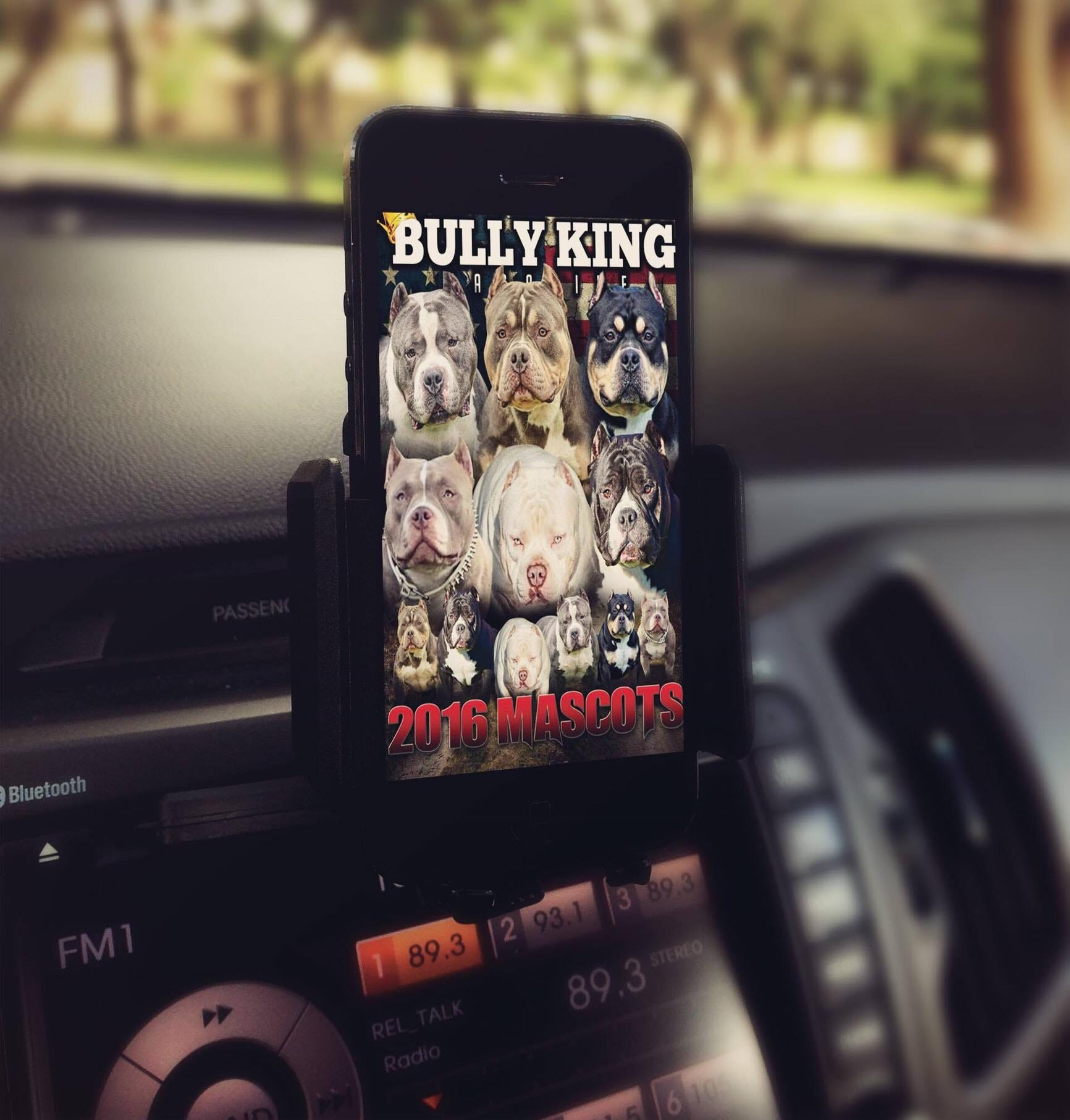 Get your digital copy of BULLY KING Magazine-Issue No. 1 Louis V issue