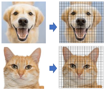 What Is Image Recognition? | by Chris Kuo/Dr. Dataman | Dataman in AI ...