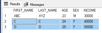 Insert script results (image by author)