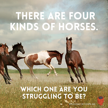 Stubborn horses aren't a real thing
