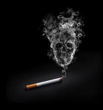 essay on smokers are liable to die young