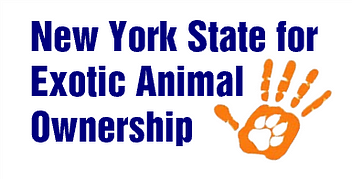 New York State for Exotic Animal Ownership