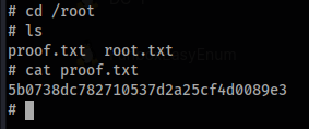 root flag