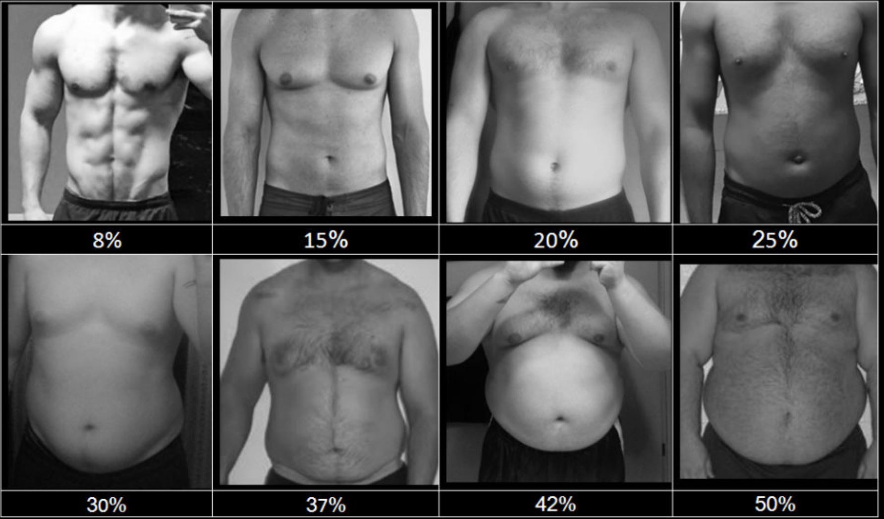 Виды животов у мужчин. Процент жира. 15 Процентов жира в организме. 15 Процентов жира у мужчин. 20% Жира.