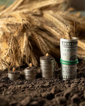 What is the highest paying US wheat pennies?