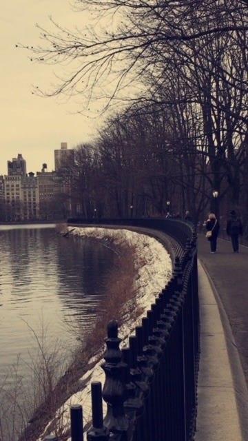 Day1: New York in Winter. One vacation spot that I would love to… | by