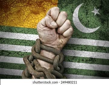 “Article about Kashmir The longest Reach Conflict in History”